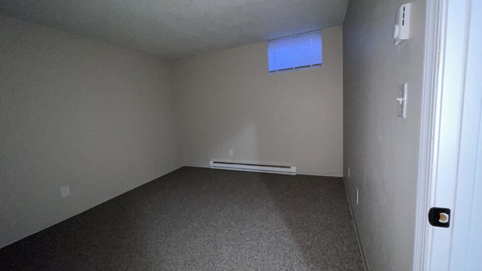 Blue Pines Henry Realty